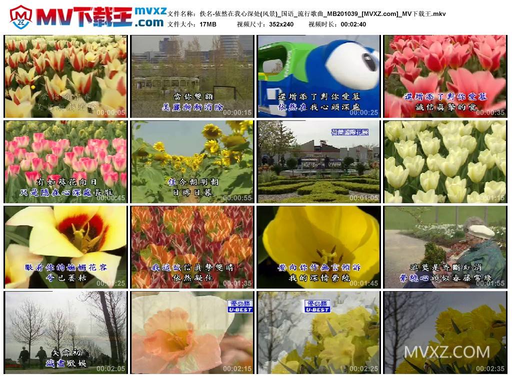 佚名-依然在我心深处(风景)_国语_流行歌曲_MB201039